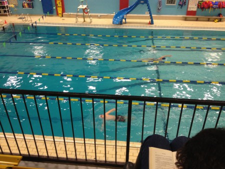 piscine club hippocampe