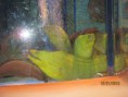 /album/activite-et-conception/img-0177-jpg/